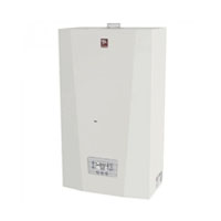 Настенный газовый котел Лемакс PRIME-V26 (108421)