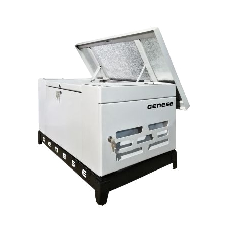Газовый генератор Genese Standard 8000 (в шумозащитном кожухе) Газовый генератор Genese Standard 8000 (в шумозащитном кожухе)