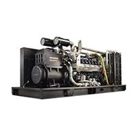 Газовый генератор PRAMAC Continious power GGW625MA