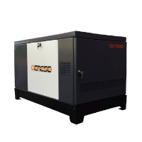 Газовый генератор Genese Standard 14000T (в шумозащитном кожухе)