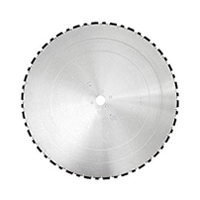 Алмазный диск Dr Schulze BS-WG H10 (1000 мм)