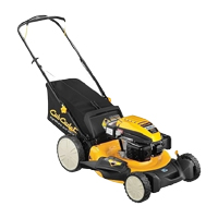 Бензиновая газонокосилка Cub Cadet LM1 DP53