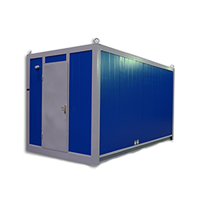 Газовый генератор Genese GE80 (в контейнере)