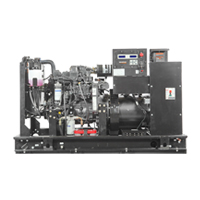 Газовый генератор GENERAC SG32/PG29