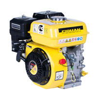 Двигатель FIRMAN SPE160