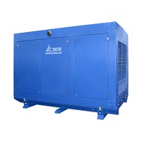 Дизельный генератор ТСС АД-12С-230-1РМ11 (2 ст. автоматизации, кожух погодозащитный)