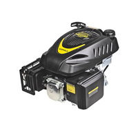 Двигатель Champion G225VK/2