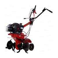 Мотокультиватор Eurosystems Euro-3 EVO RM B&S 450E Series