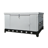 Газовый генератор Genese GE40 в кожухе